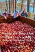 Under The Burr Oak: An Apple Winemaking Legacy
