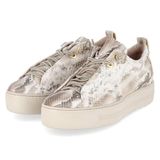 Paul Green Sneakers laag sand / donkerbeige / wit