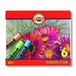 Koh-i-Noor Craies pastel sèches pour enfants 6 couleurs