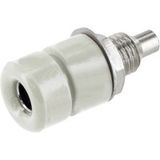 econ connect TB40WS Inbouwbus Bus, encastrable Blanc 1 pièce(s) Bulk