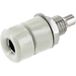 econ connect TB40WS Inbouwbus Bus, encastrable Blanc 1 pièce(s) Bulk