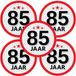 Bellatio Decorations 85 jaar leeftijd sticker - 10x - rond - Dia 15 cm - 85 jaar verjaardag - jubileum - leeftijd versiering
