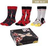 Disney Minnie Mouse Socks Gift Box - 3 Pairs - Kids - Size 35-42 - Multi