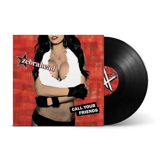 Zebrahead Call Your Friends LP
