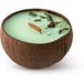 Tropicandle Green Tea