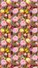 AG Design bloemen, gordijn/gordijn, 140x245 cm, 1 deel, stof, multicolor