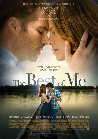 Hoffman, Michael Best Of Me dvd