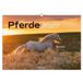 GPSR Contact Paardenkalender 2027 Wandkalender