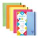 Clairefontaine Collegeblok PROACTIV'BOOK, A4+, geruit, Spiraalgebonden, Softcover