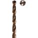 Labor HSS-cobalt boor geslepen 2,5x57mm (2 Stuks)