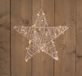 Anna's Collection Batterijverlichting metalen ster 40 cm warm wit