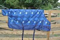 GPD Couverture de pluie luxe 300 grammes cosmos-185 - bleu