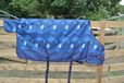 GPD Couverture de pluie luxe 300 grammes cosmos-185 - bleu