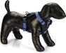 Beeztees Hondentuig Parinca Premium Y-tuig - Hondenharnas kleine honden - Nylon - Blauw - 42-46cmx20mm