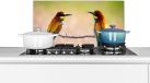 KitchenYeah Spatscherm keuken 60x30 cm - Vogels - Aluminium
