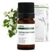 BIO AROMA LABS BIO Groene Myrtle Essentiële Olie - 5mL