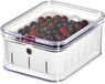 Ibenzoa® Systèmes de refroidissement portables pour produits frais, solution de rangement en plastique sans BPA avec couvercle, 21,1 x 16,1 x 9,9 cm