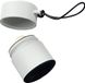 AMICI Cosmetics Solmates Koala Edition Refillable Sunscreen Applicator