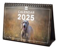 Finocam 781245225 Tafel Kalender A5 Meerkleurig Papier Maand 12 Maand(en) Spiraal Evenementen, Vakantie, Nationale feestdagen 150 g/m² 2025 210 mm 70 mm 148 mm 80 g 1 stuk(s)