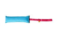 DINGO Teether Agility Bungee Onderwijs Speelgoed, 8 x 27 cm, Blauw