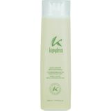 KAPYDERM - Shampoo régulateur de sébum | Nettoyage en profondeur pour cheveux gras | Ingrédients naturels | Protection antibactérienne | Équilibre du pH | Pour des cheveux sains et frais, 250 ml