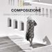 Composizione. White Star Composizione. Corso completo di tecnica fotografica Paperback