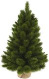 Triumph Tree Camden Kunstkerstboom H60 x D43 cm - Kunstboom in Jute Zak - Kunst Kerstboom voor Binnen - 58 Tips - Groen