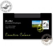 Blake Creative Colour 25214 envelop DL+ (114 x 229 mm) Zwart