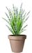 Pro Garden Bloempot - Mokka Bruin - Rond - D30 cm - Kunststof