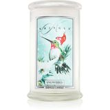 Kringle Candle Snowbird Geurkaarsen 624 gr