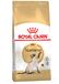 Royal Canin Breed Adult Siamese kattenvoer 4 kg