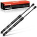 Frankberg 2 x gasveer demper achterklep compatibel met Orlando J309 1.4L 1.8L 2.0L MPV 2011-2021 vervanging # 95985321