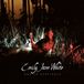 Emily Jane White Ode To Sentience LP