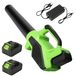 StarTech Bladblazer - Draadloze bladblazer zonder borstels - 6 snelheden - 15.000 omwentelingen per minuut - LED-lamp - Batterij inbegrepen - Geschikt voor tuin en garage
