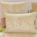 PETTI Artigiani Italiani - Kussenslopen voor bed, paar kussenslopen 50 x 80 cm, kussenslopen, kussenslopen van anti-allergische microvezel, gemaakt in Italië, kussenslopen World Taupe