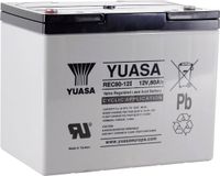 Yuasa REC80-12 Batterie au plomb 12 V 80 Ah
