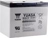 Yuasa REC80-12 Batterie au plomb 12 V 80 Ah