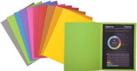 Exacompta ROCK'S 210 Pak van 100 dossiermappen 210g/m2 24x32cm voor A4. - Grijs