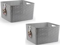 Plasticforte Opbergmand - 4x - Kastmand - rotan kunststof - zilver