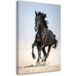 Impression sur toile cheval noir courant animaux 40x60