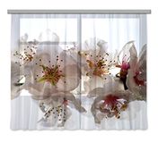 AG DESIGN gordijnen, 3D fotoprint, licht, 100% PES meerkleurig, 280 x 245 cm
