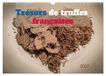 Trésors CALVENDO Trésors de truffes françaises (Calendrier mural 2027 DIN A3 vertical), CALVENDO calendrier mensuel: Un coeur pour la truffe, ses trouvailles et sa cuisine