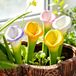 Elzusha - Set de 5 abreuvoirs pour abeilles pour le jardin