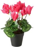 Boltze Home Kunstplant in pot roze H27cm