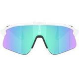 Oakley Heren Stunt Devil Zonnebrillen