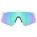 Oakley Heren Stunt Devil Zonnebrillen