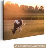 OneMillionCanvasses Canvas Schilderij 140x90 cm - Koe - Zon - Rechthoek - Wanddecoratie