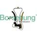 Borsehung B19296 Kit de chaîne de distribution chaîne de distribution pour MERCEDES-BENZ C-Klasse Limousine (W204) E-Klasse Limousine (W211) C-Klasse T-modell (S204)