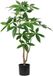 Unyqoos® Natuurgetrouwe decoratieve kunstboom van 90 cm voor huis en kantoor