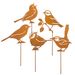 Tuindecoratie Oiseaux Cortenstalen Métal Figurines Rouille Rétro Aspect Extérieur Décoration Ensemble 30 Pièces Motif Animal Brun